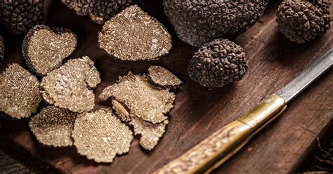 are truffles similar to mushrooms